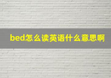 bed怎么读英语什么意思啊