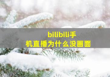 bilibili手机直播为什么没画面