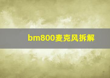 bm800麦克风拆解