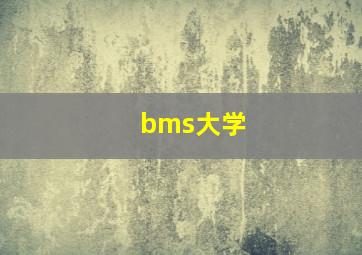 bms大学