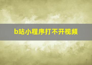 b站小程序打不开视频