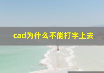 cad为什么不能打字上去