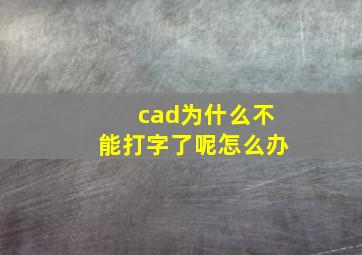 cad为什么不能打字了呢怎么办