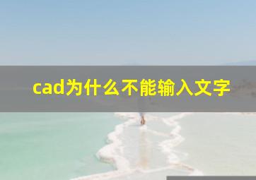 cad为什么不能输入文字