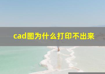 cad图为什么打印不出来