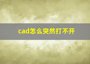 cad怎么突然打不开