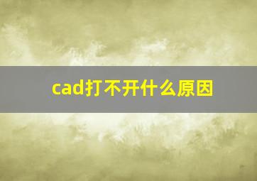 cad打不开什么原因