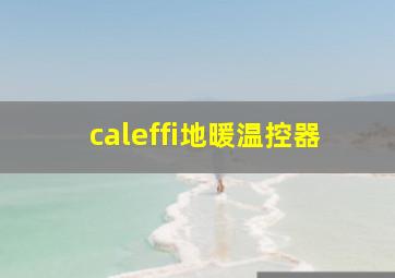 caleffi地暖温控器