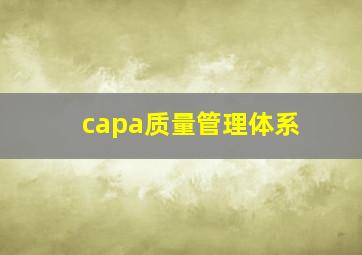 capa质量管理体系