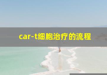 car-t细胞治疗的流程