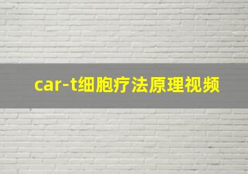 car-t细胞疗法原理视频