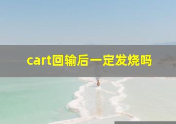 cart回输后一定发烧吗