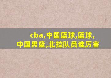 cba,中国篮球,篮球,中国男篮,北控队员谁厉害