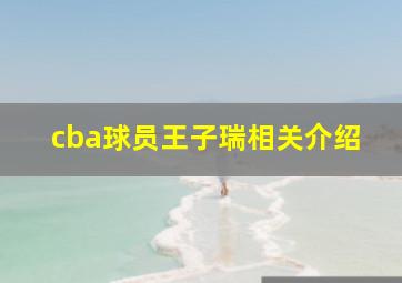 cba球员王子瑞相关介绍