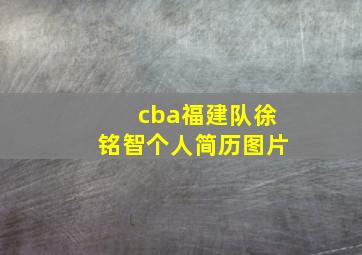 cba福建队徐铭智个人简历图片