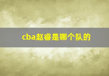 cba赵睿是哪个队的