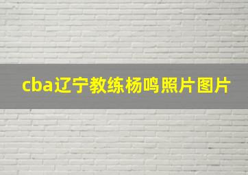 cba辽宁教练杨鸣照片图片