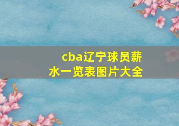 cba辽宁球员薪水一览表图片大全