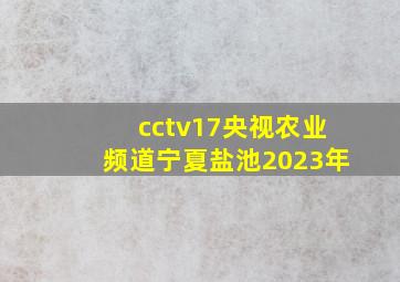 cctv17央视农业频道宁夏盐池2023年