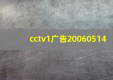 cctv1广告20060514