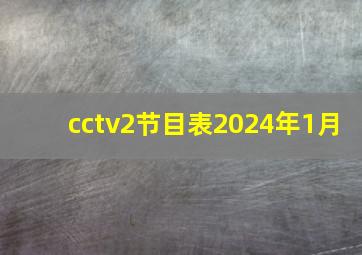 cctv2节目表2024年1月