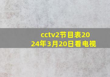 cctv2节目表2024年3月20日看电视