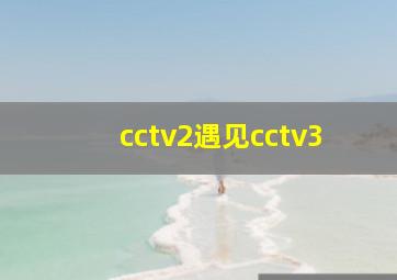 cctv2遇见cctv3