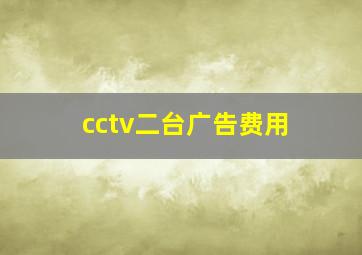 cctv二台广告费用