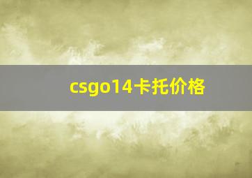 csgo14卡托价格