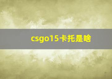 csgo15卡托是啥