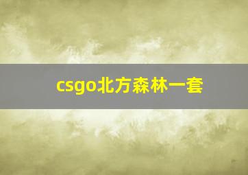 csgo北方森林一套