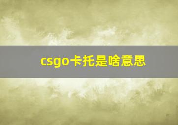 csgo卡托是啥意思