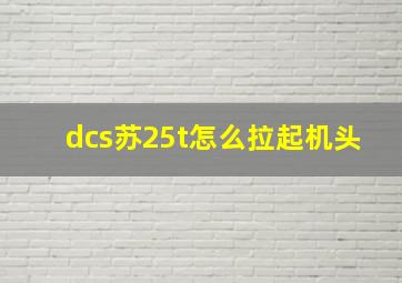 dcs苏25t怎么拉起机头