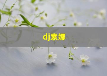 dj索娜