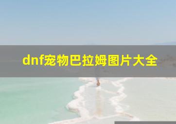 dnf宠物巴拉姆图片大全