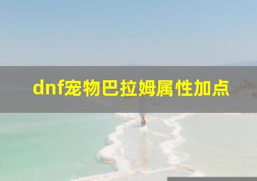 dnf宠物巴拉姆属性加点