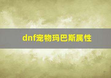 dnf宠物玛巴斯属性