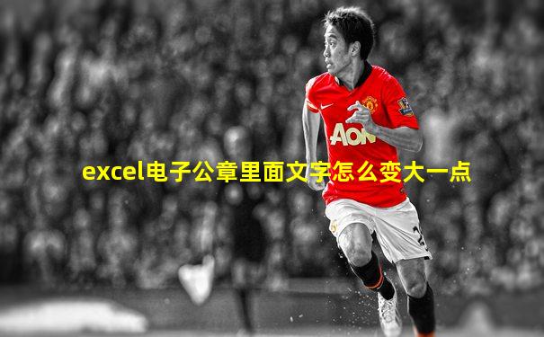 excel电子公章里面文字怎么变大一点