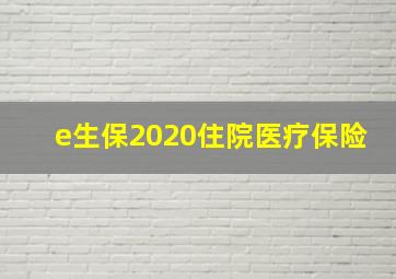 e生保2020住院医疗保险