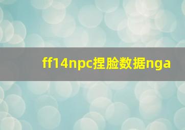 ff14npc捏脸数据nga