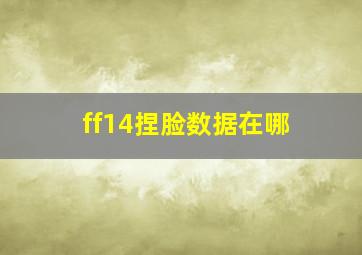 ff14捏脸数据在哪