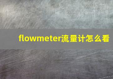 flowmeter流量计怎么看