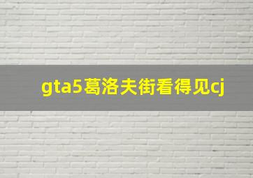 gta5葛洛夫街看得见cj