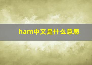 ham中文是什么意思