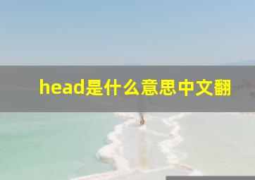 head是什么意思中文翻