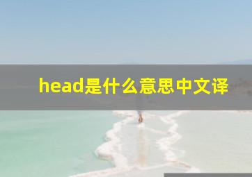 head是什么意思中文译