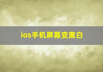 ios手机屏幕变黑白