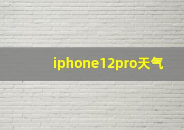 iphone12pro天气