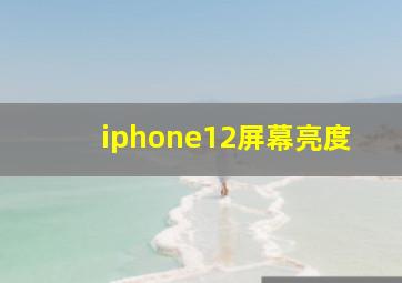 iphone12屏幕亮度