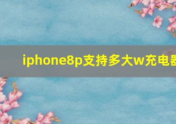 iphone8p支持多大w充电器